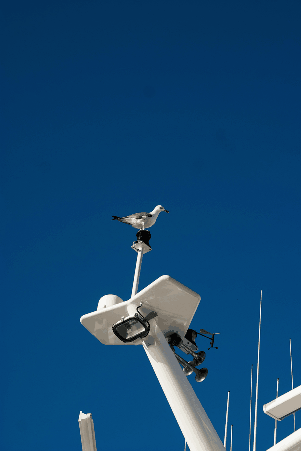 predictive maintenance workflow, equipment diagnostics, team collaboration